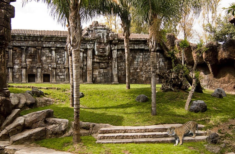 Bioparc Fuengirola - Foto 9