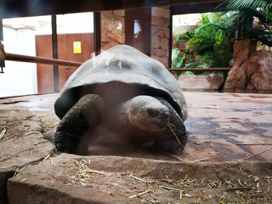 Bioparc Fuengirola - Foto 10