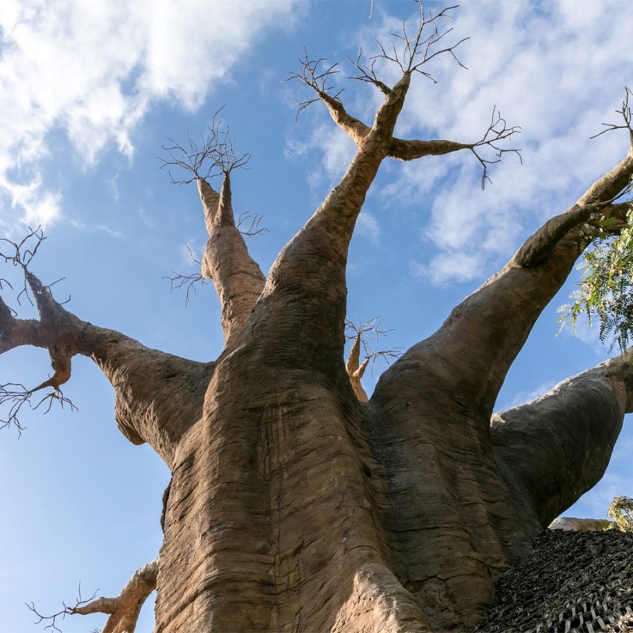 Bioparc Fuengirola - Foto 2