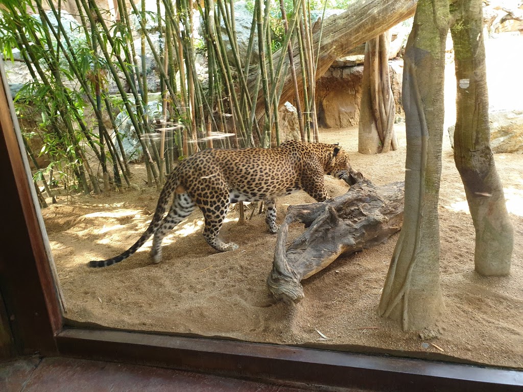 Bioparc Fuengirola - Foto 1