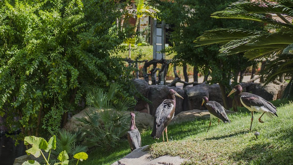 Bioparc Fuengirola - Foto 1