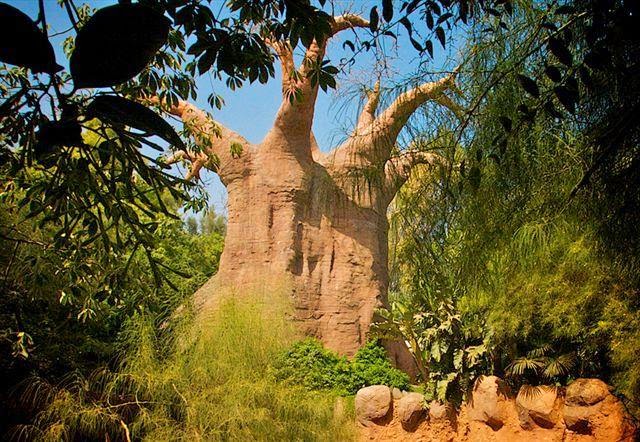 Bioparc Fuengirola - Foto 1