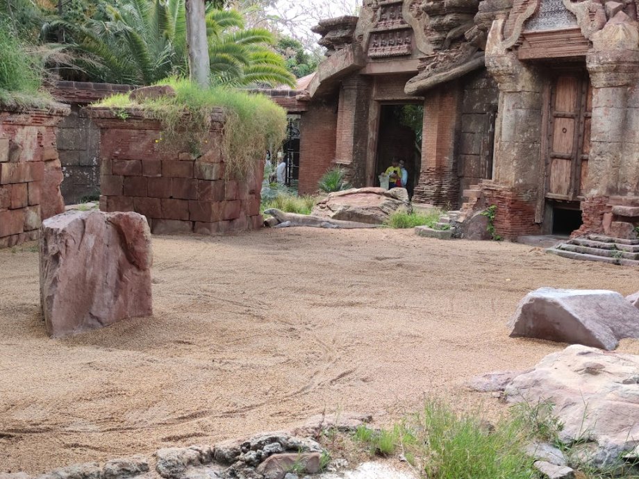 Bioparc Fuengirola - Foto 15