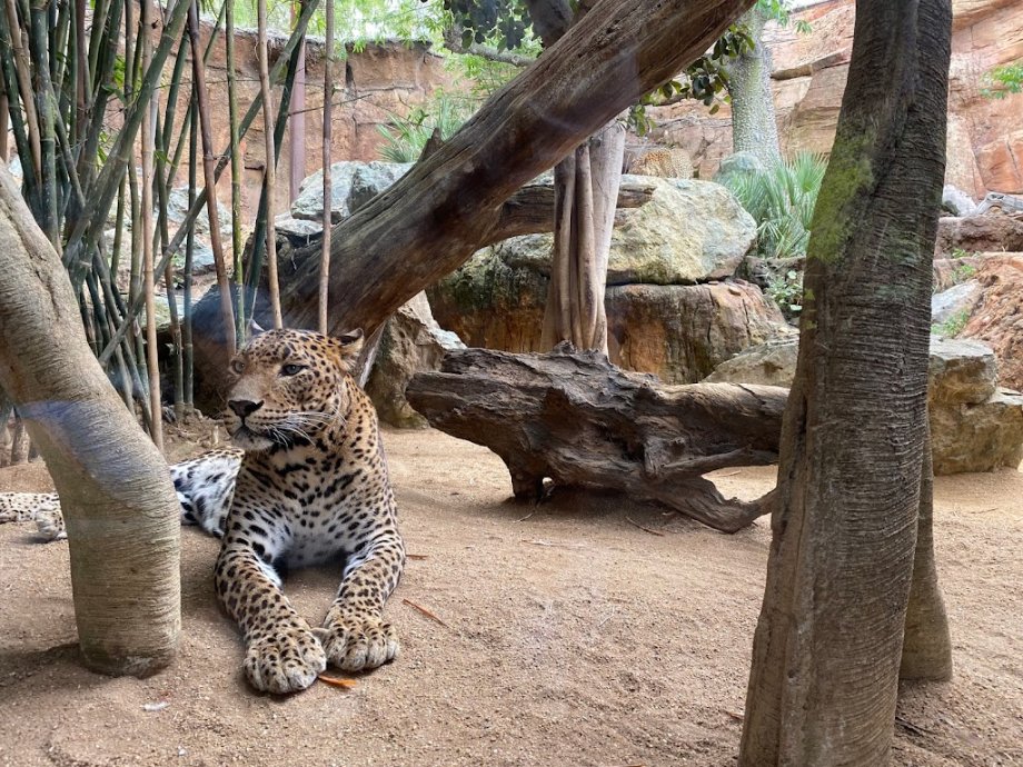 Bioparc Fuengirola - Foto 18