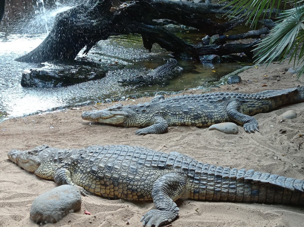 Bioparc Fuengirola - Foto 1