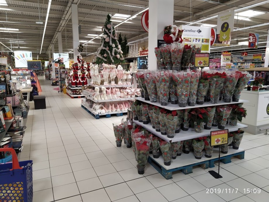 Centro Comercial EL PASEO - Foto 9