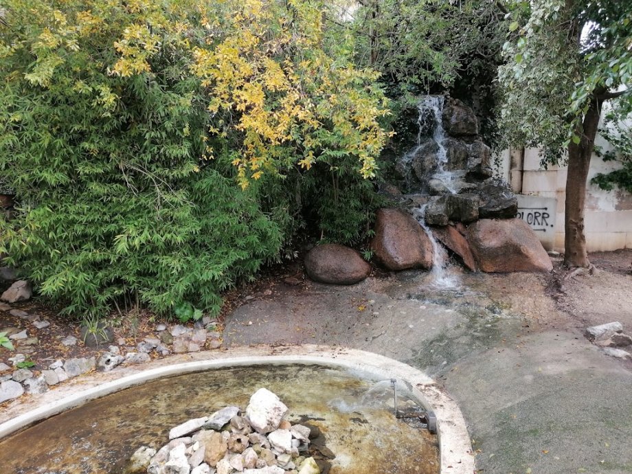 Jardim Da Paz (Jardim Maria Lourdes Pintassilgo) - Foto 12