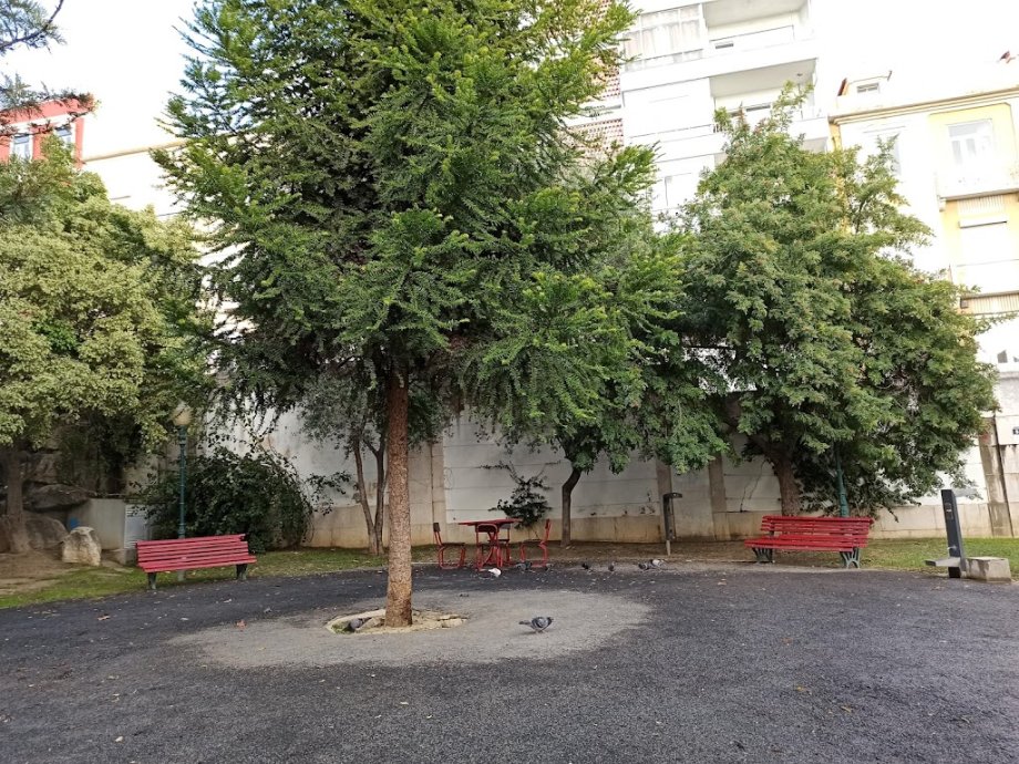 Jardim Da Paz (Jardim Maria Lourdes Pintassilgo) - Foto 13