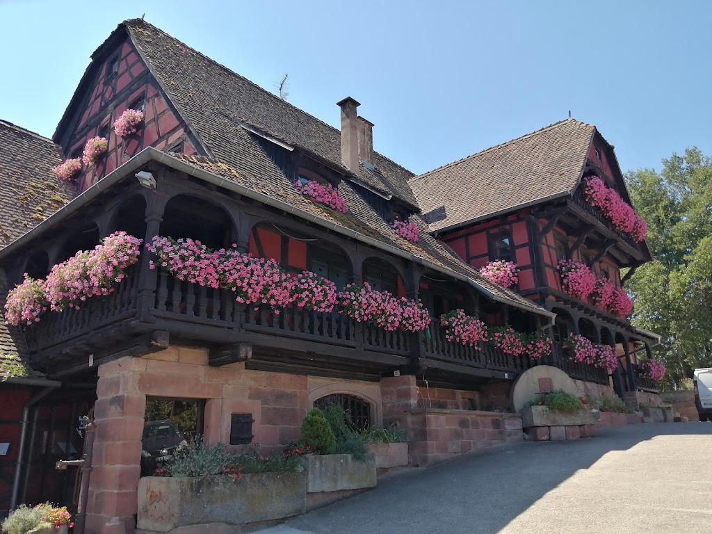 Restaurant Kirmann - Foto 1