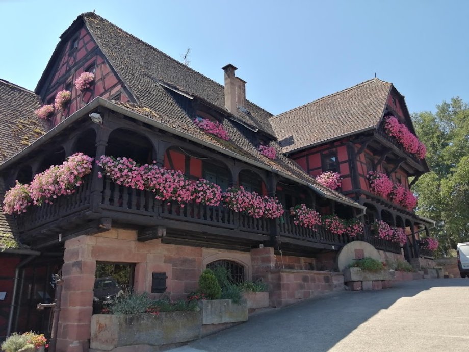 Restaurant Kirmann - Foto 14