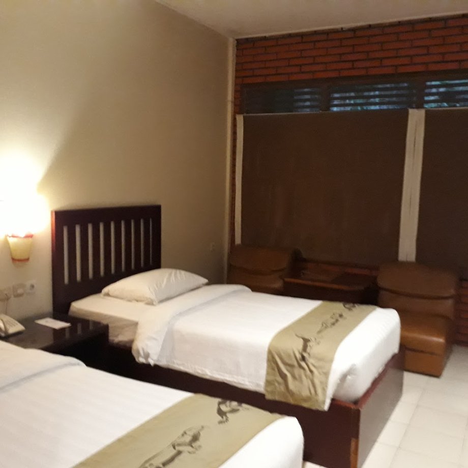 Royal Safari Garden Resort & Convention - Foto 9