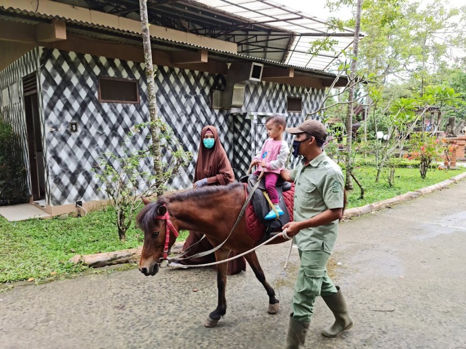 Royal Safari Garden Resort & Convention - Foto 16