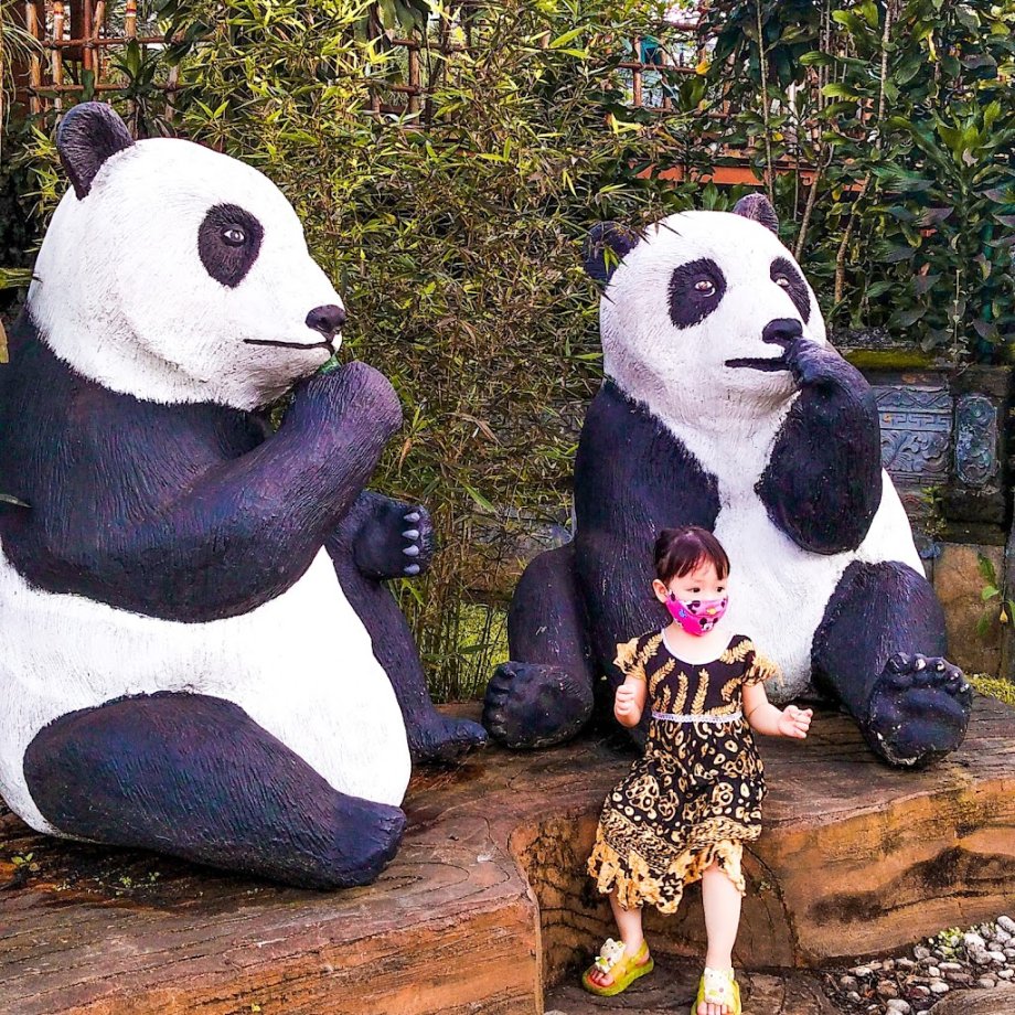 Royal Safari Garden Resort & Convention - Foto 17