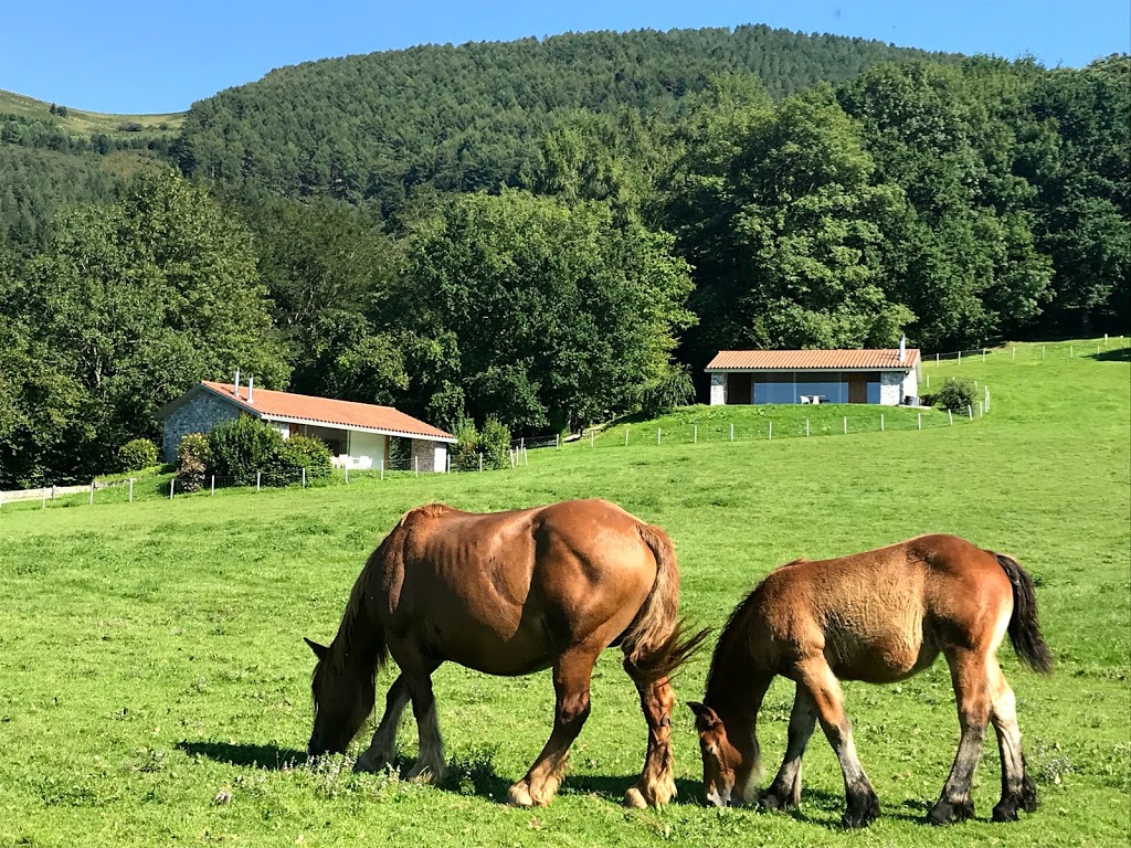 IrriSarri Land - Foto 1