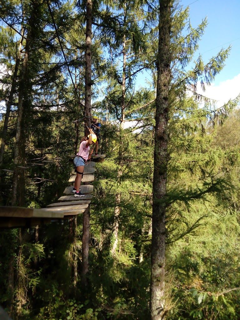 IrriSarri Land - Foto 6