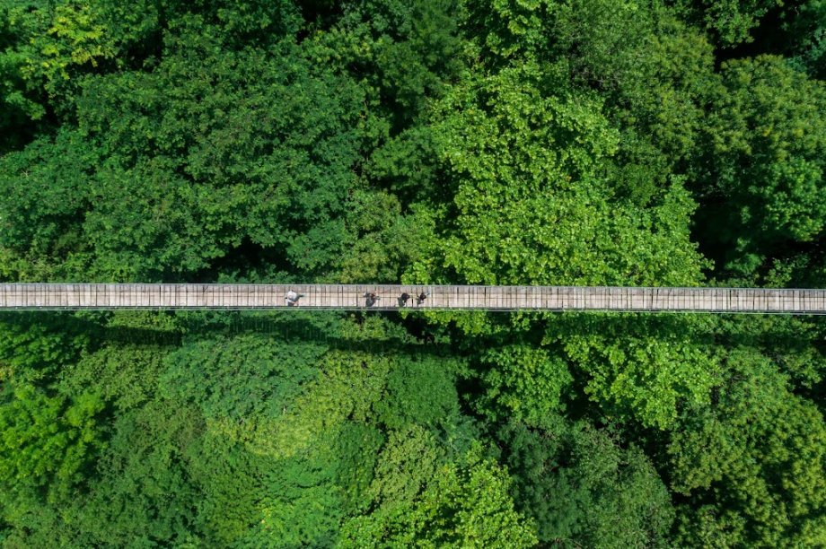 IrriSarri Land - Foto 12