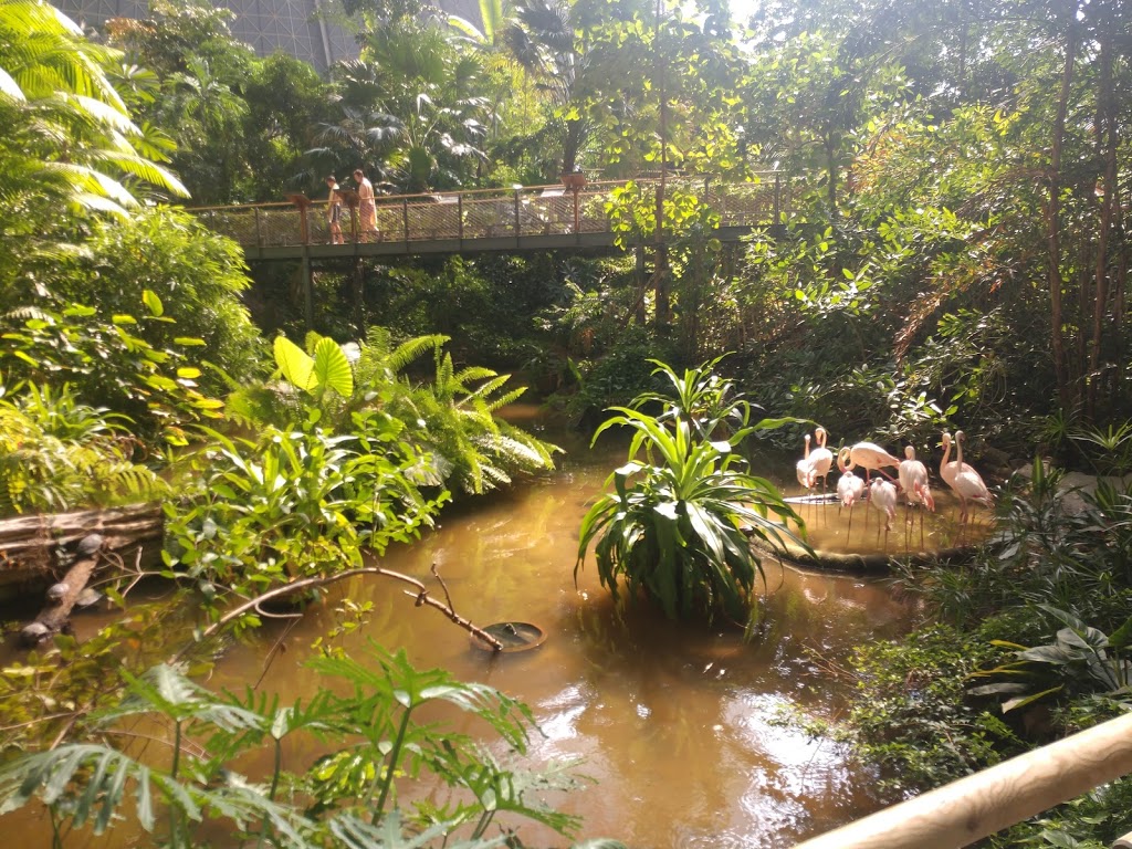 Tropical Islands - Foto 1