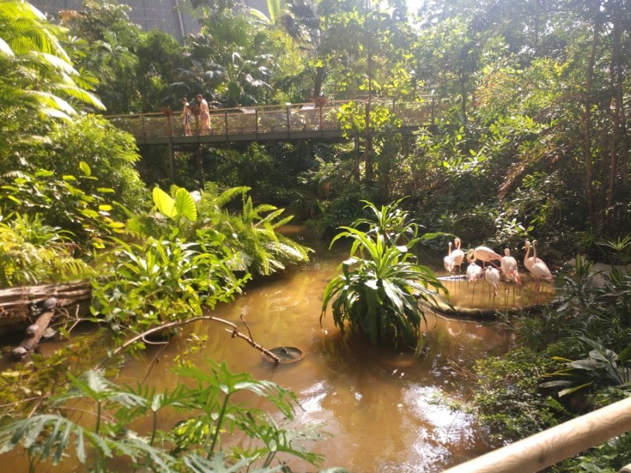 Tropical Islands - Foto 6