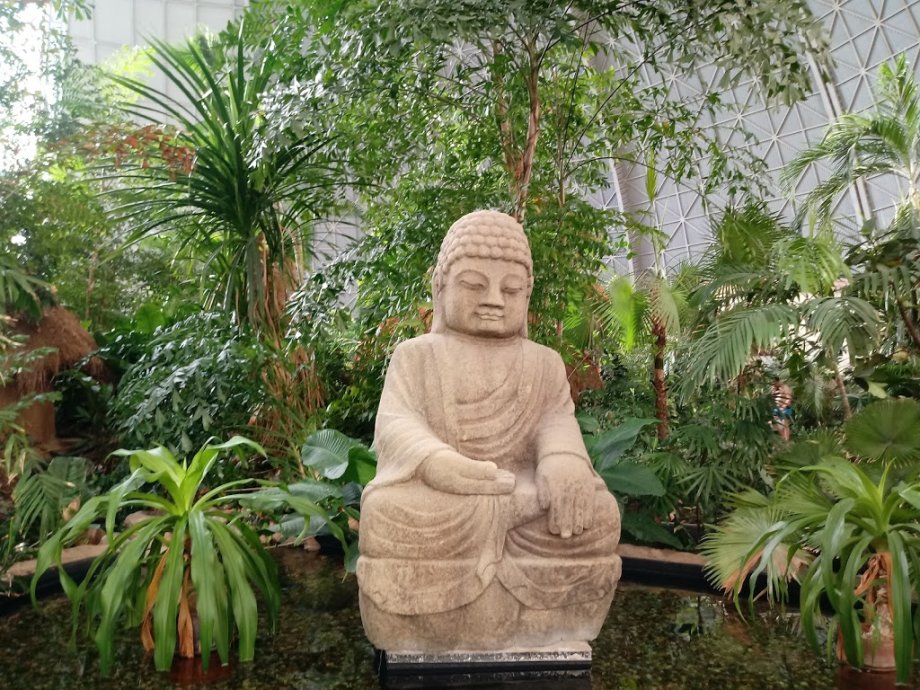 Tropical Islands - Foto 3