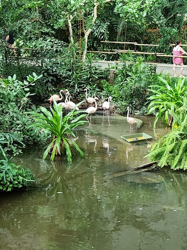 Tropical Islands - Foto 1