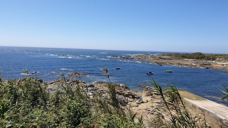 Tapería A Camboa - Foto 8