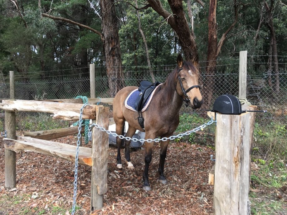 The Trail Cafe - Foto 9