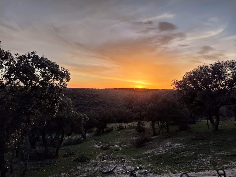 El Torreón de El Pardo - Foto 16