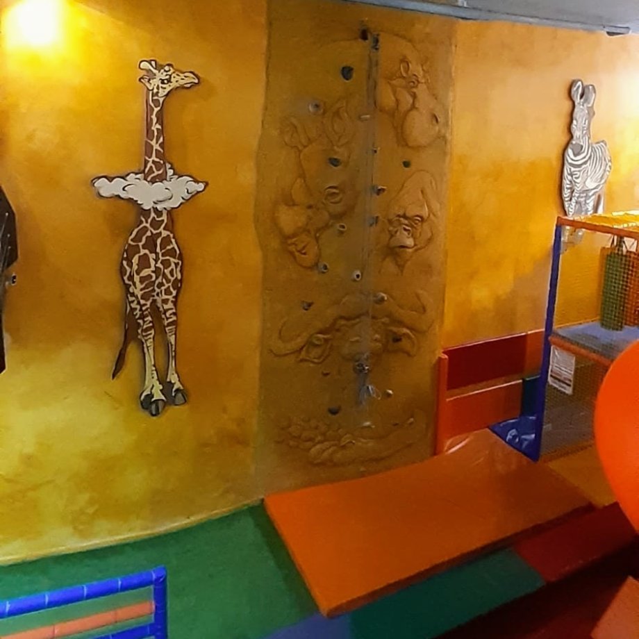 África Park - Foto 4