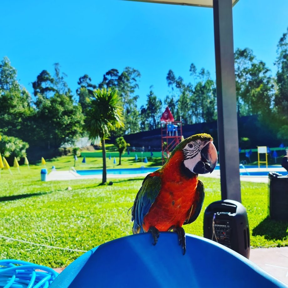 Aquaplay - Pool Complex - Foto 13