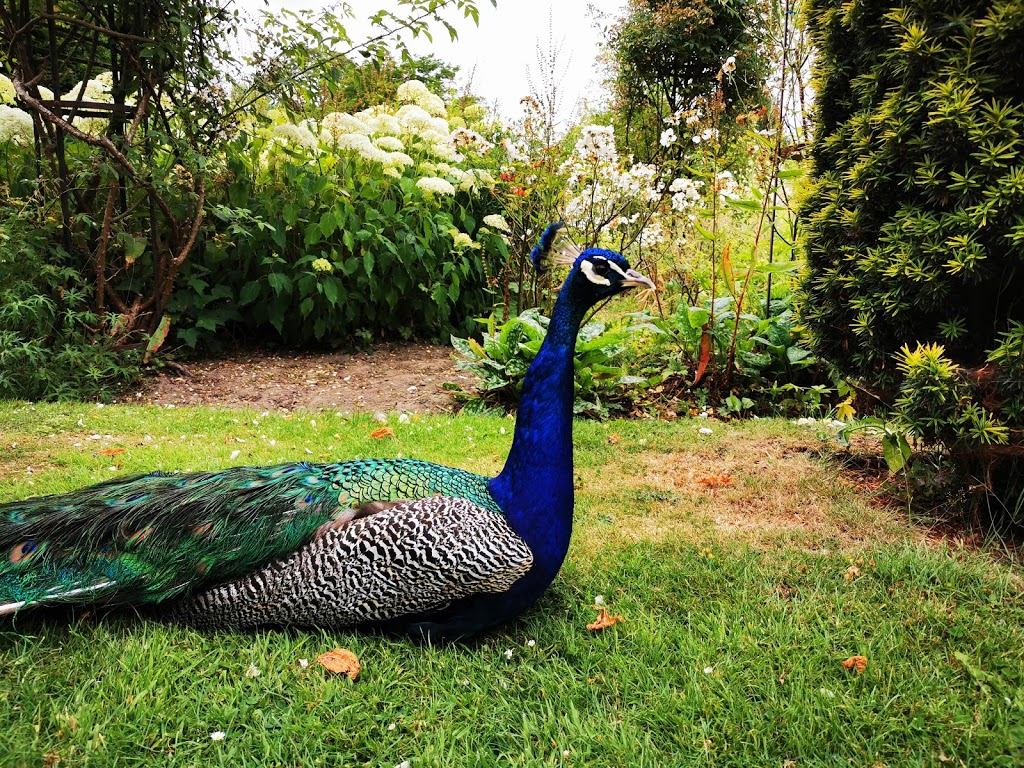 Groombridge Place Estates - Foto 1