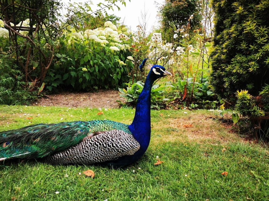 Groombridge Place Estates - Foto 3