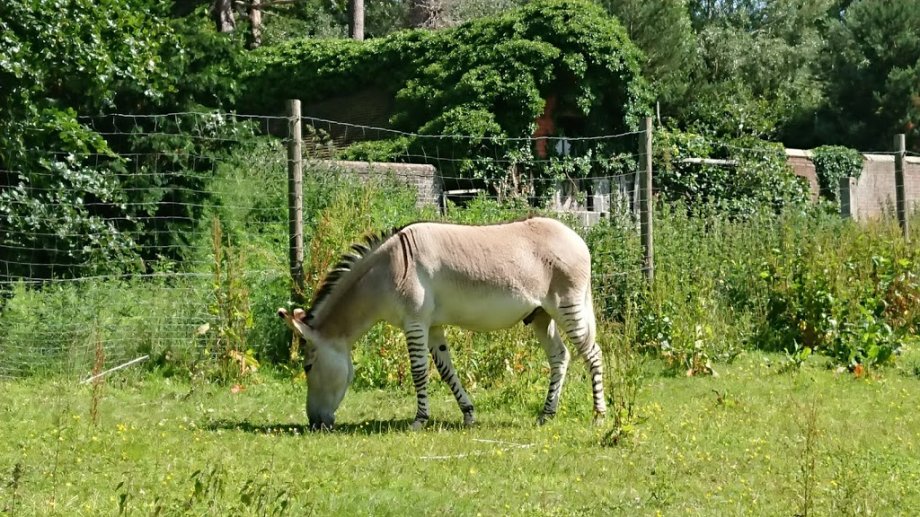 Groombridge Place Estates - Foto 8