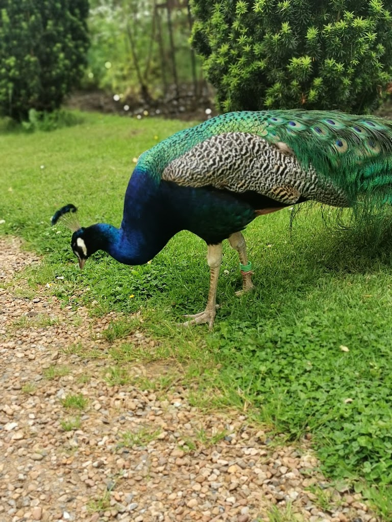 Groombridge Place Estates - Foto 1