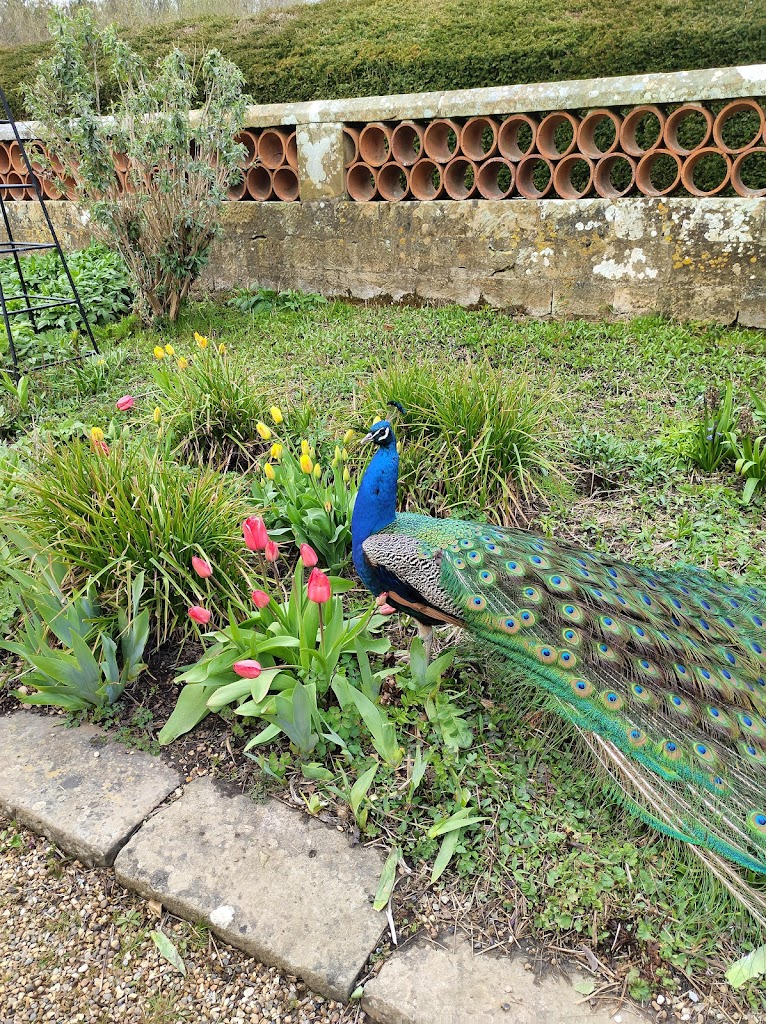 Groombridge Place Estates - Foto 1