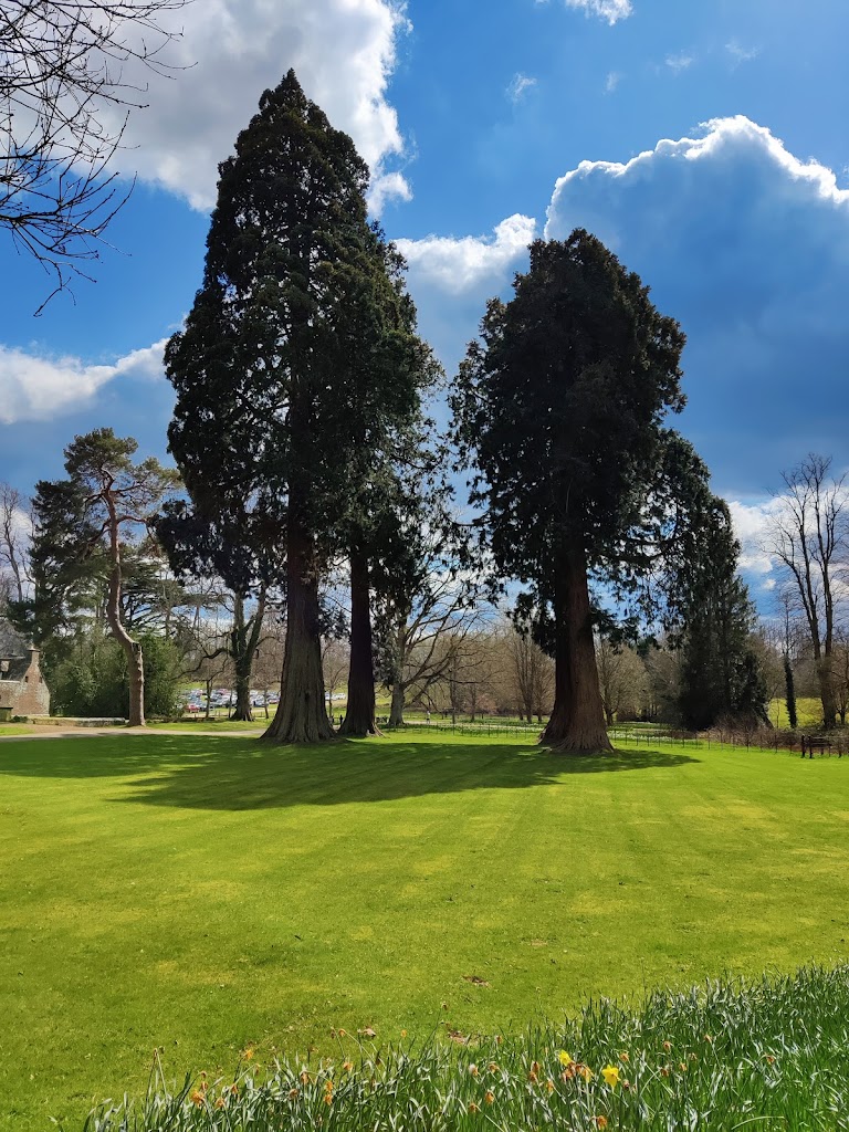 Groombridge Place Estates - Foto 17