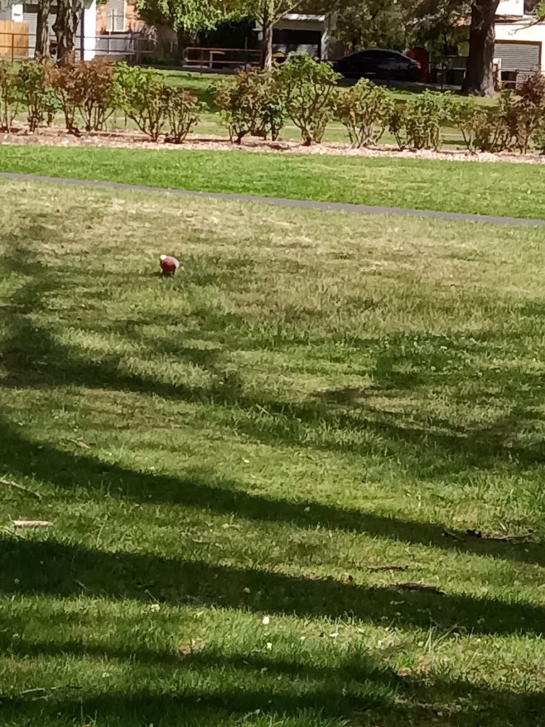 Queen Elizabeth Park - Foto 1