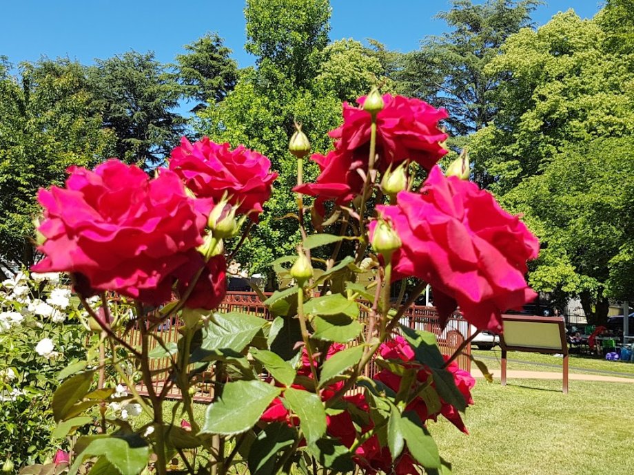 Queen Elizabeth Park - Foto 14