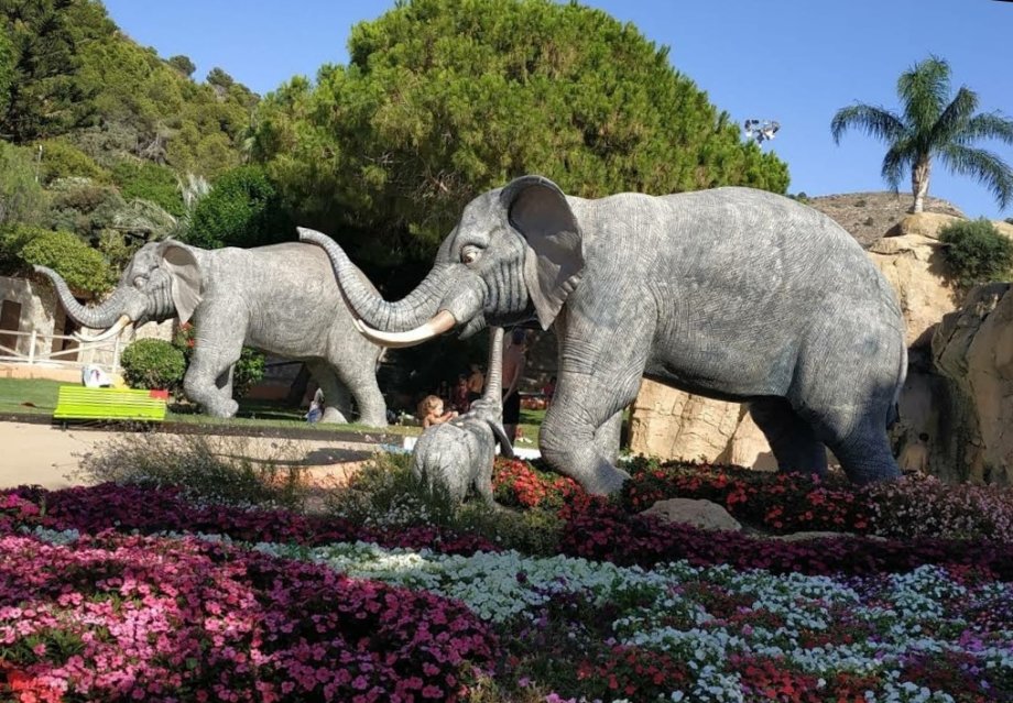 Aqualandia Benidorm - Foto 7