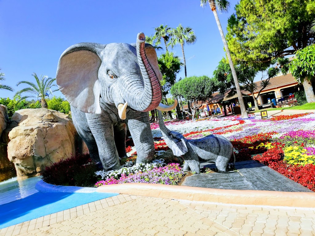 Aqualandia Benidorm - Foto 1