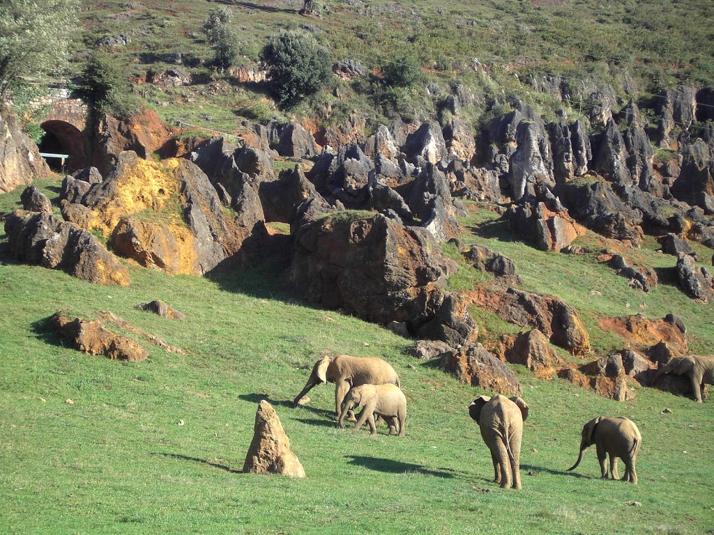 Parque de la Naturaleza de Cabárceno - Foto 1