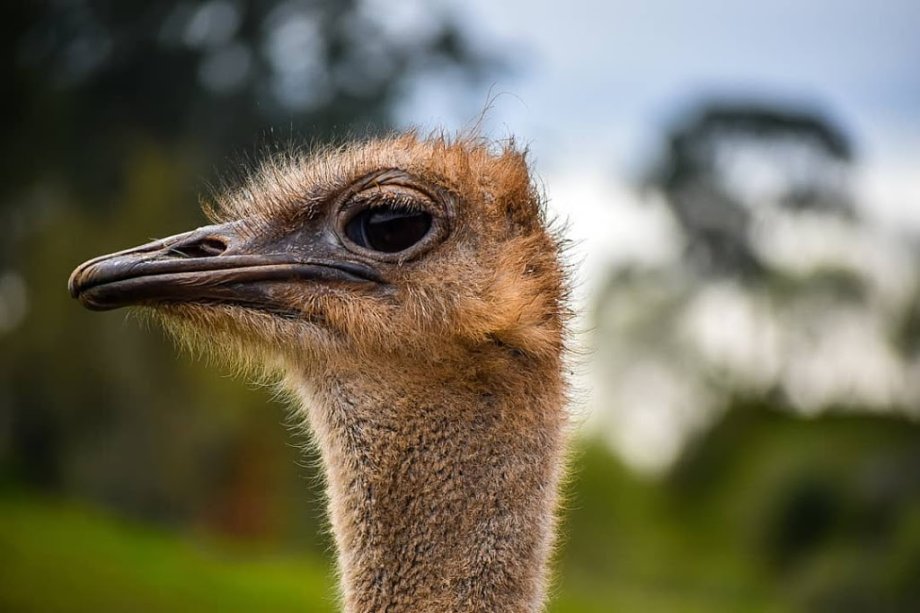Parque de la Naturaleza de Cabárceno - Foto 4