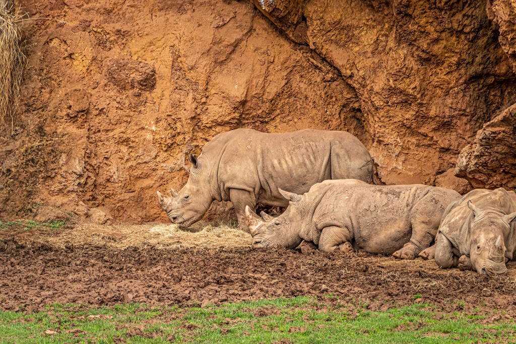 Parque de la Naturaleza de Cabárceno - Foto 1