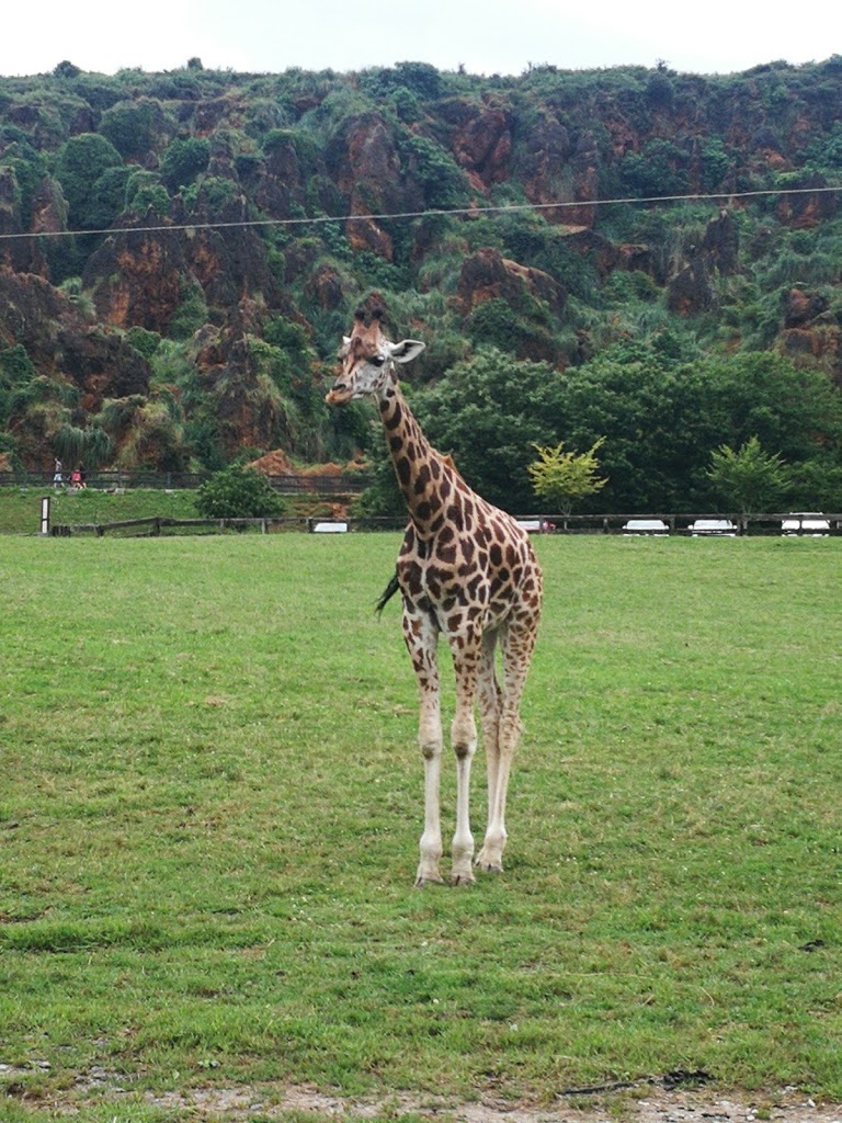 Parque de la Naturaleza de Cabárceno - Foto 7