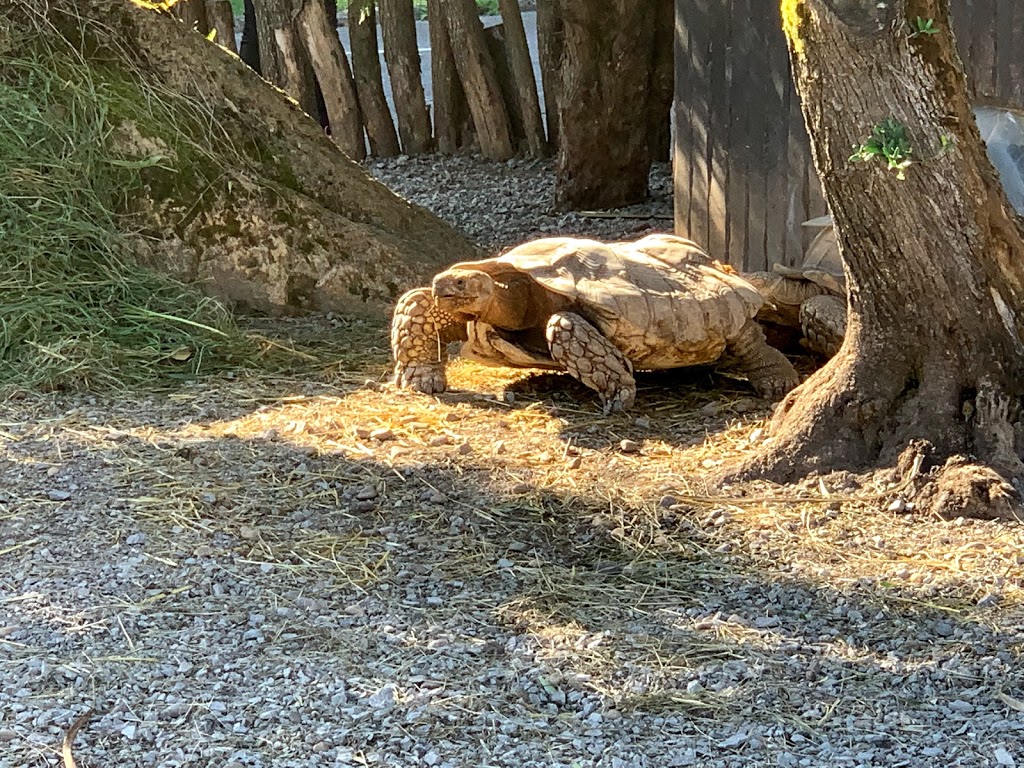 Parque de la Naturaleza de Cabárceno - Foto 1