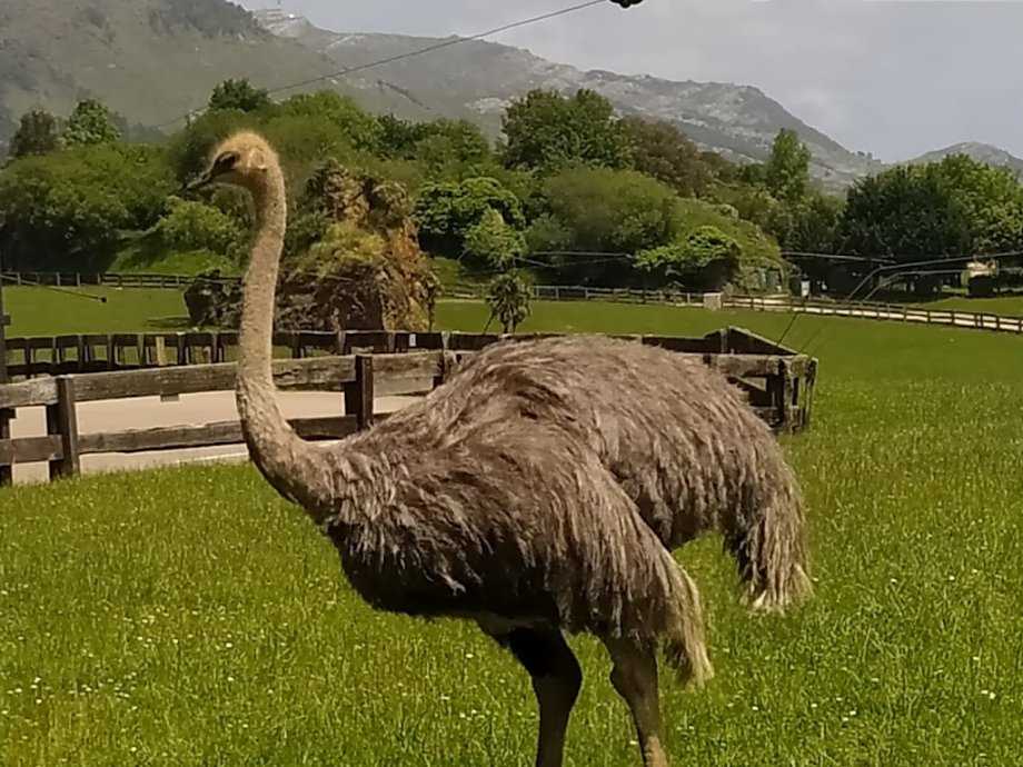 Parque de la Naturaleza de Cabárceno - Foto 12