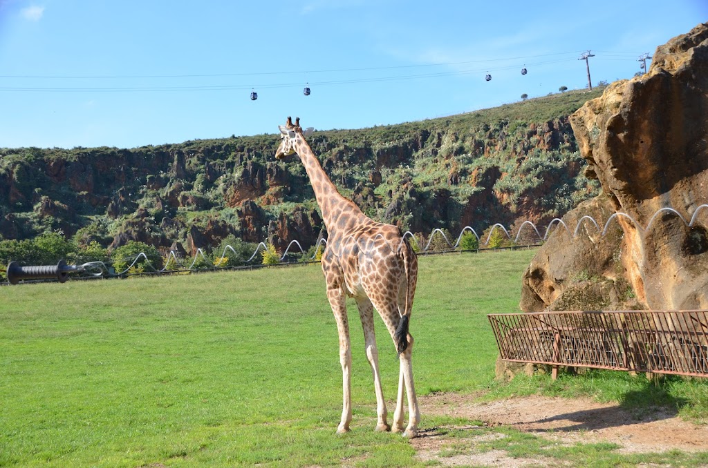 Parque de la Naturaleza de Cabárceno - Foto 1