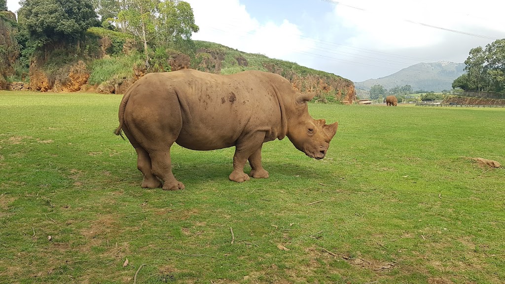Parque de la Naturaleza de Cabárceno - Foto 1