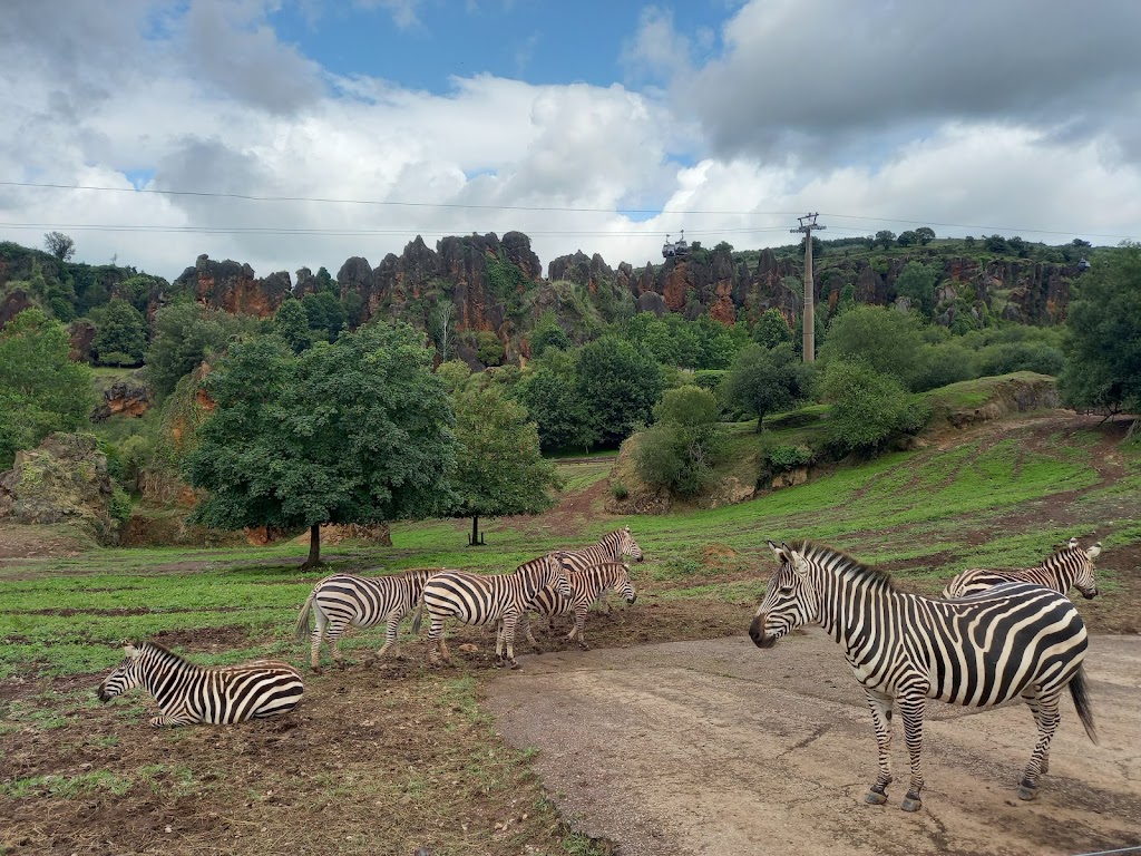 Parque de la Naturaleza de Cabárceno - Foto 1