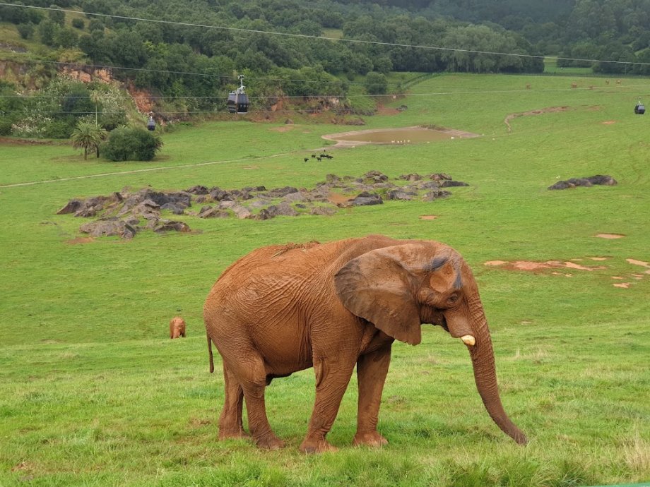 Parque de la Naturaleza de Cabárceno - Foto 16