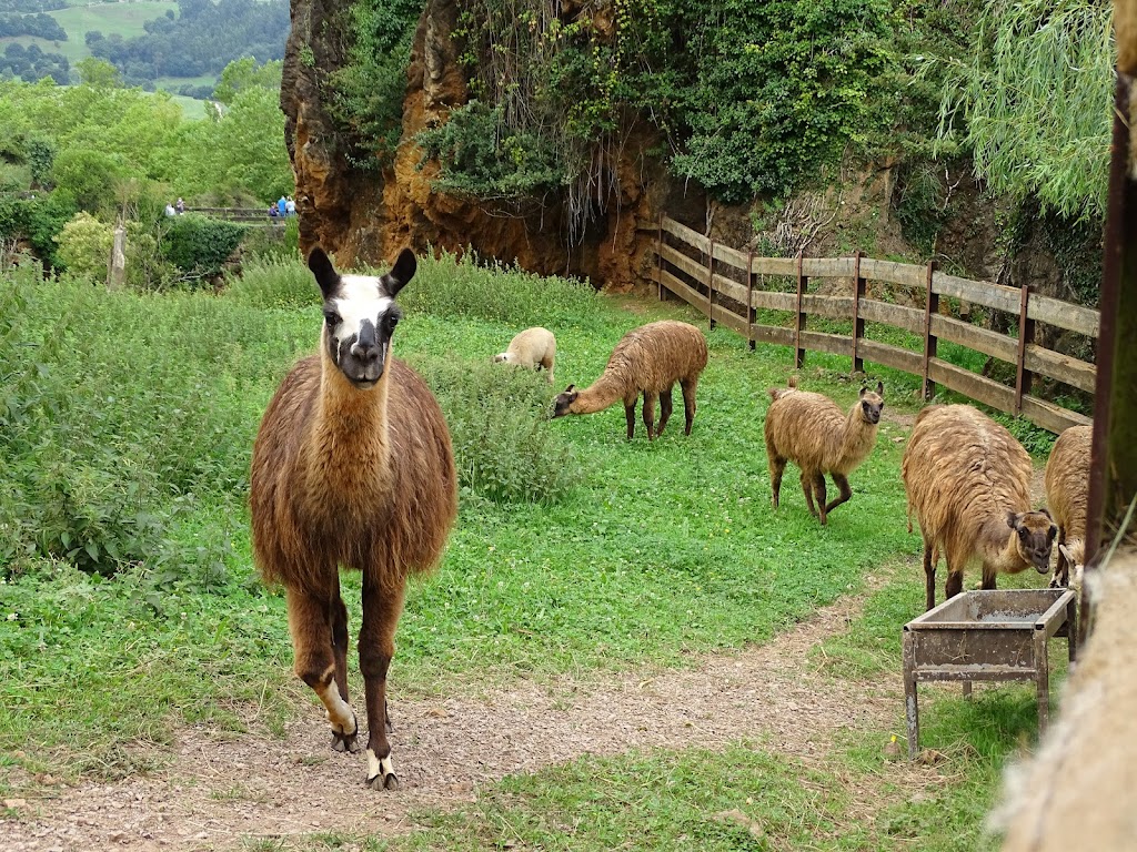 Parque de la Naturaleza de Cabárceno - Foto 1